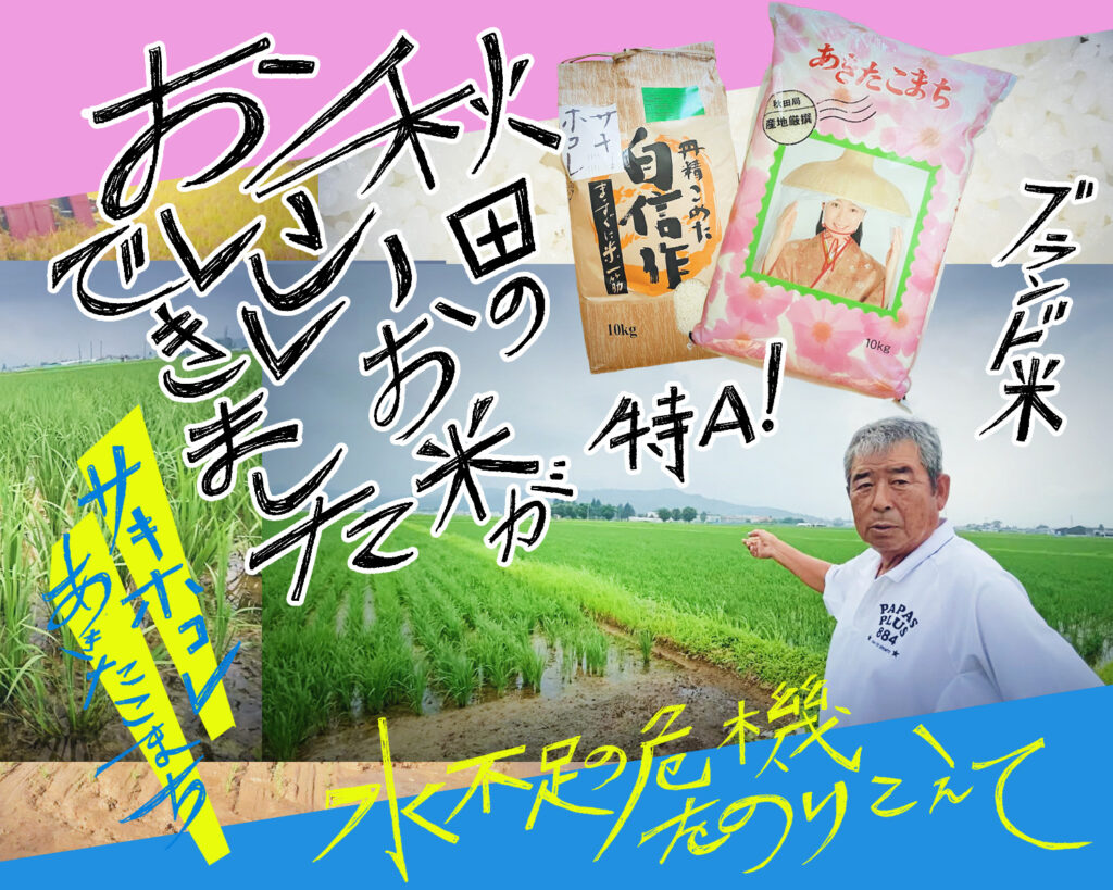 秋田のおいしいお米ができました