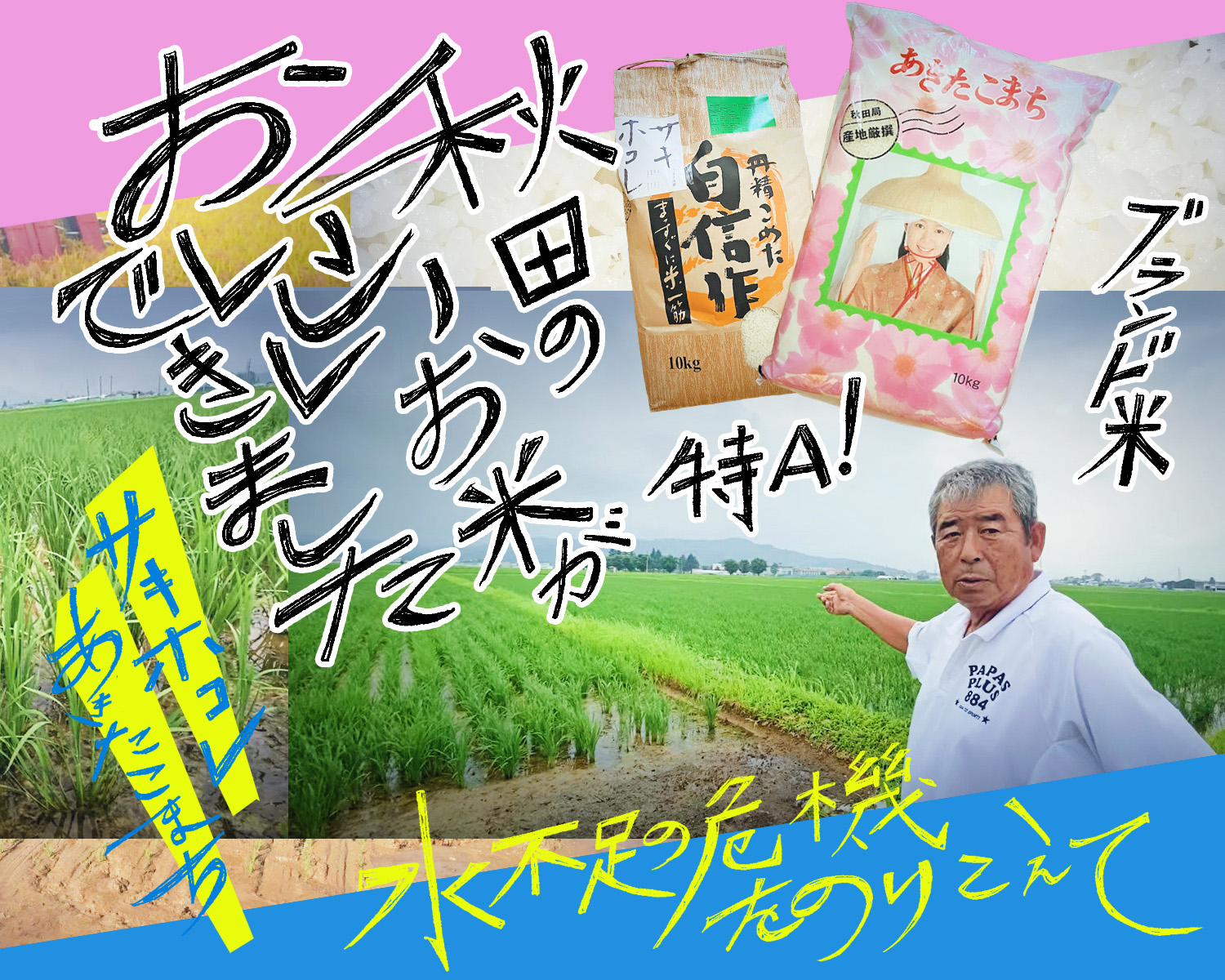 秋田のおいしいお米ができました